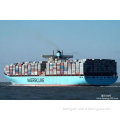 Safe International Container Service From Shenzhen/Guangzhou China to Rotterdam
